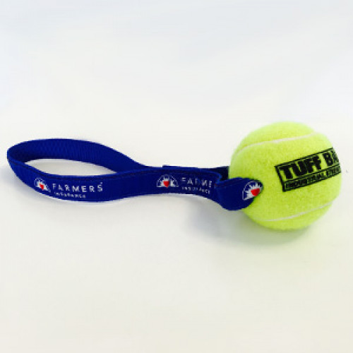 Tennis Ball Dog Toy
