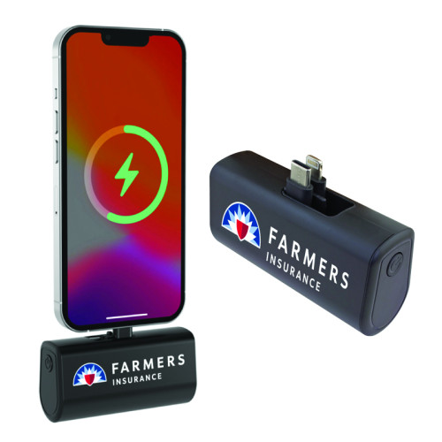 Dual Plug Power Bank